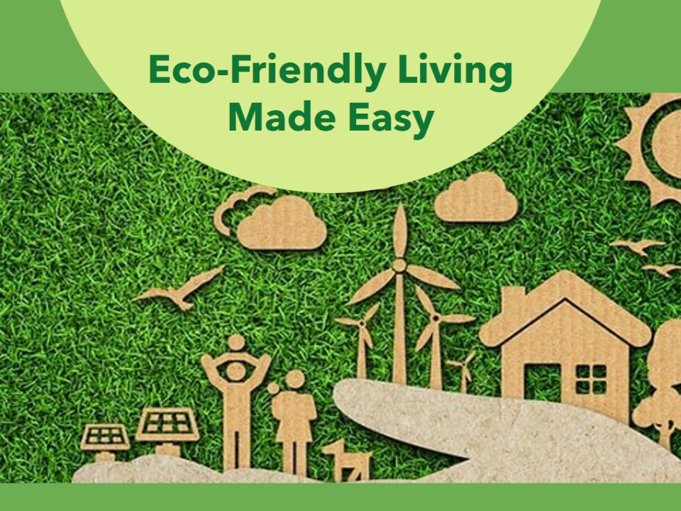 Sustainable Living: Practical Eco-Friendly Habits