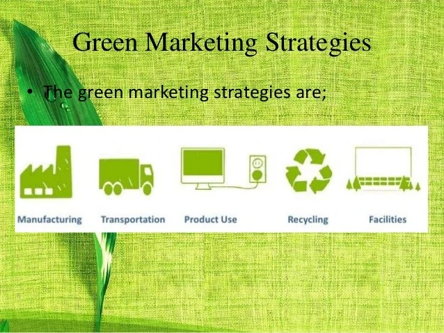 Green Business Strategies for the Future